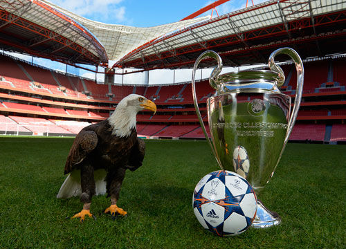 波利塔诺：踢法兰克福我们绝对要赢；我为斯帕莱蒂感到高兴（波利塔诺：战法兰克福非胜不可；为斯帕莱蒂感到欣喜）